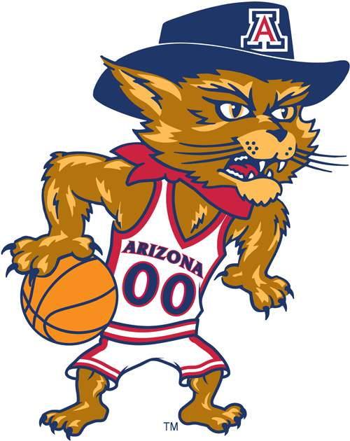 Arizona Wildcats 2003-Pres Mascot Logo v5 DIY iron on transfer (heat transfer)